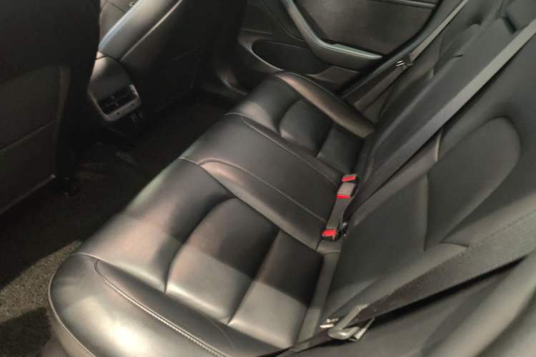 Used Tesla Model 3 2019 Standard Range Rear-Wheel Drive Upgraded Version (52 kWh) Left Rear Seat