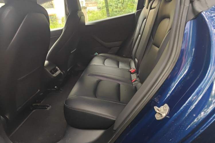 Used Tesla Model 3 2019 Long-Range All-Wheel-Drive Version Left Rear Seat