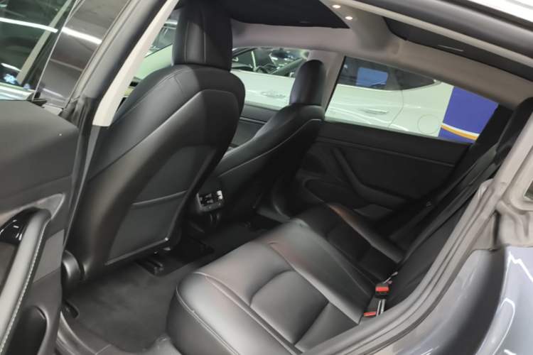Used Tesla Model 3 2019 Long-Range Rear-Wheel-Drive Version Left Rear Seat