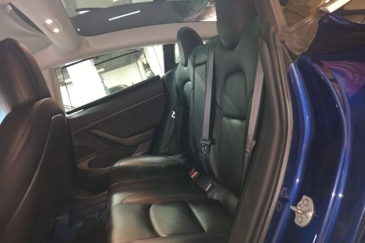 Used Tesla Model 3 2019 Standard Range Rear-Wheel Drive Upgraded Version (60 kWh) Left Rear Seat