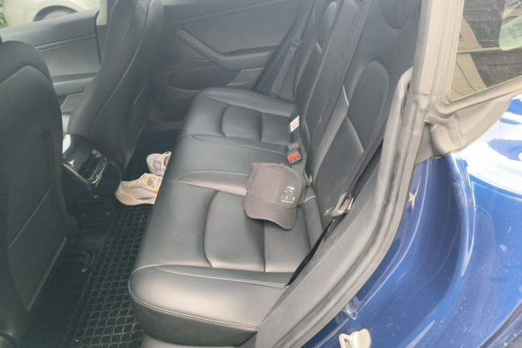 Used Tesla Model 3 2019 Long-Range Rear-Wheel-Drive Version Left Rear Seat