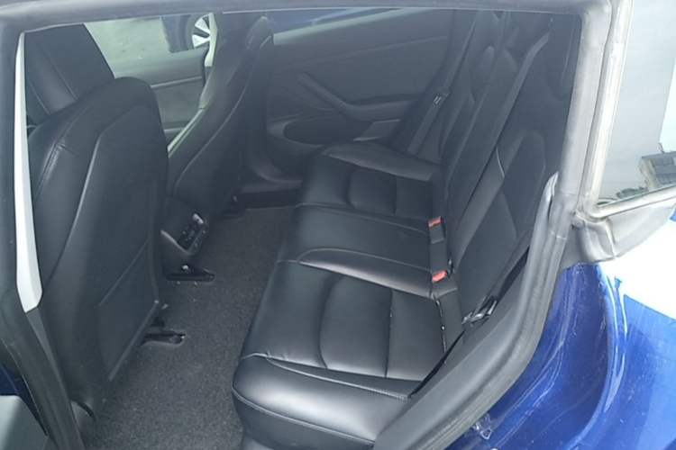 Used Tesla Model 3 2019 Standard Range Rear-Drive Upgraded Version Left Rear Seat