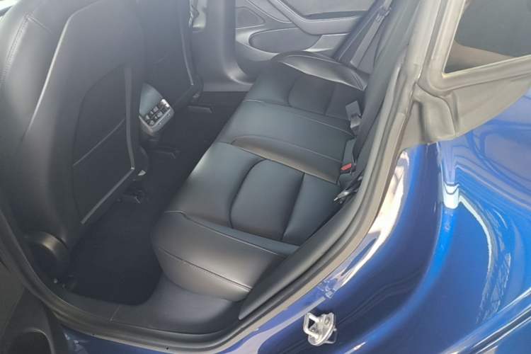 Used Tesla Model 3 2019 Standard Range Rear-Drive Upgraded Version Left Rear Seat
