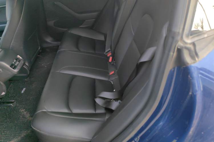 Used Tesla Model 3 2019 Standard Range Rear-Drive Upgraded Version Left Rear Seat