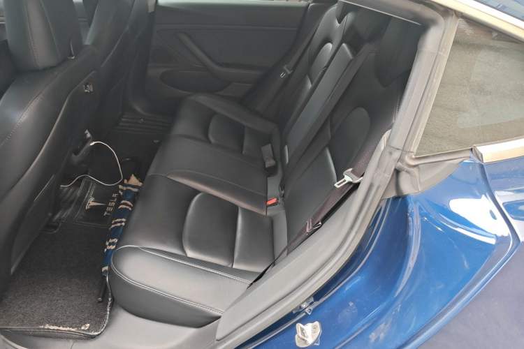 Used Tesla Model 3 2019 Long-Range Rear-Wheel-Drive Version Left Rear Seat