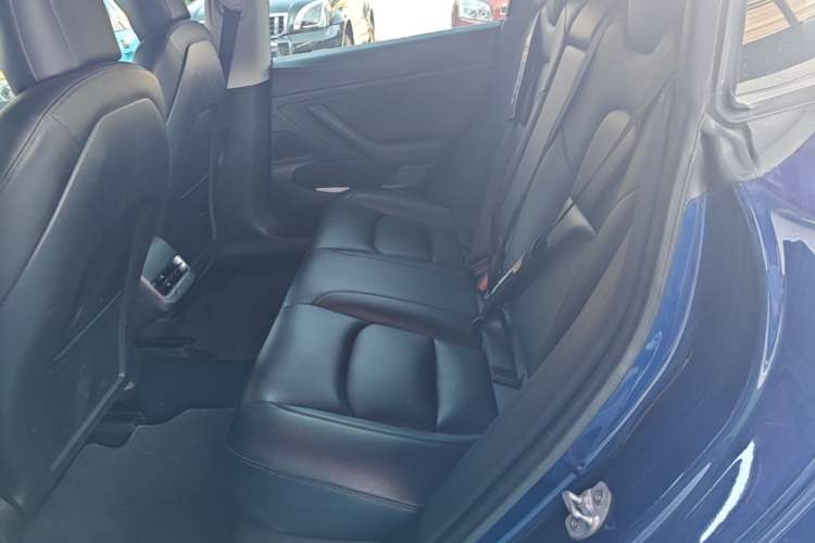 Used Tesla Model 3 2019 Standard Range Rear-Drive Upgraded Version Left Rear Seat