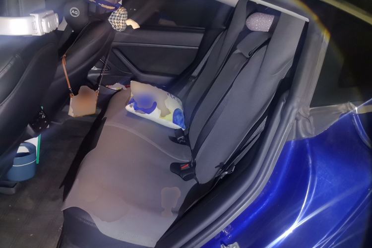 Used Tesla Model 3 2019 Standard Range Rear-Drive Upgraded Version Left Rear Seat