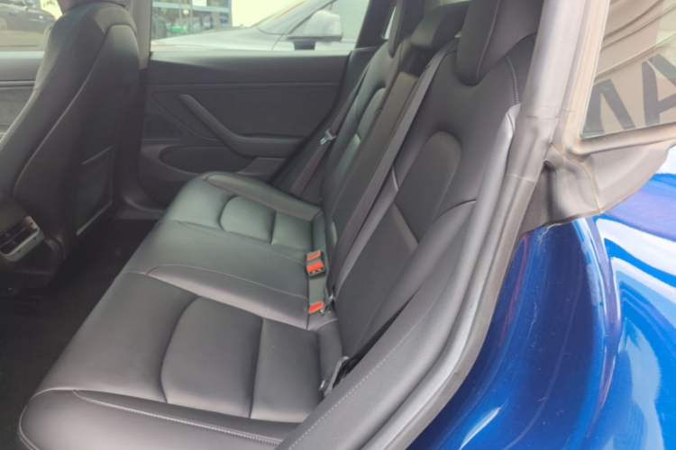 Used Tesla Model 3 2019 Performance High-Performance All-Wheel-Drive Version Left Rear Seat