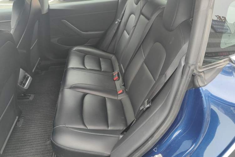 Used Tesla Model 3 2019 Standard Range Rear-Drive Upgraded Version Left Rear Seat