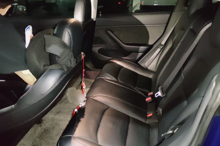 Used Tesla Model 3 2019 Long-Range All-Wheel-Drive Version Left Rear Seat
