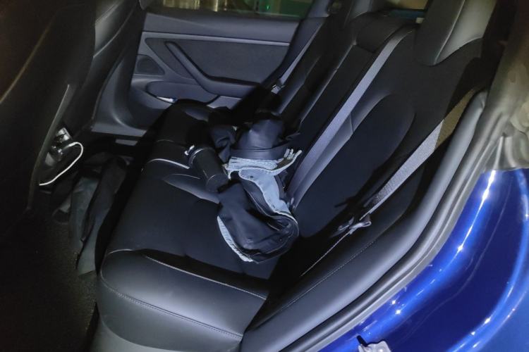 Used Tesla Model 3 2019 Standard Range Rear-Drive Upgraded Version Left Rear Seat