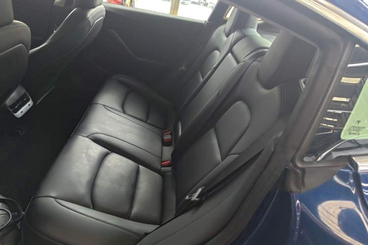 Used Tesla Model 3 2019 Long-Range All-Wheel-Drive Version Left Rear Seat