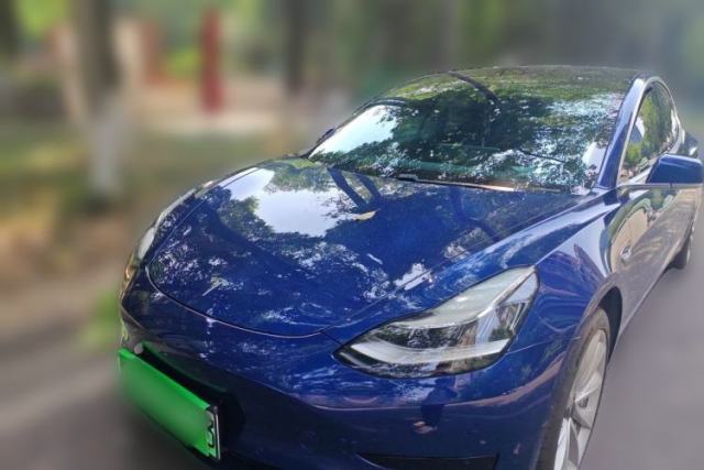 Used Tesla Model 3 2019 Standard Range Rear-Drive Upgraded Version