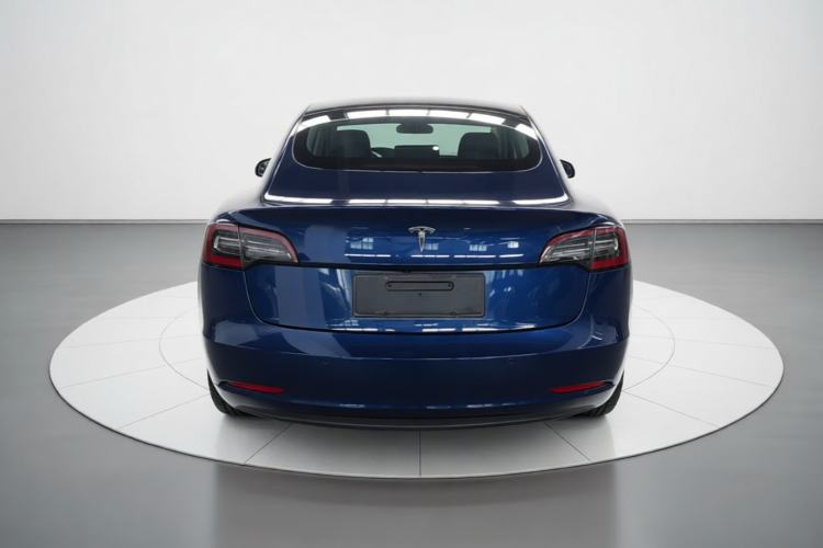 Used Tesla Model 3 2019 Long-Range Rear-Wheel-Drive Version Rear