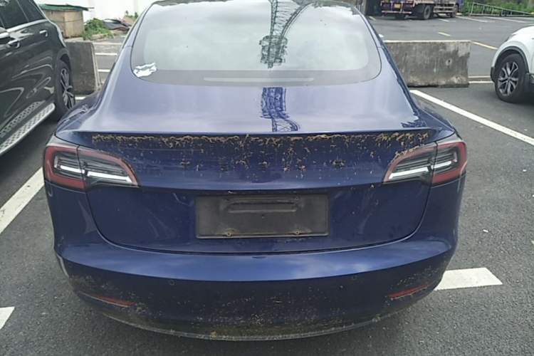 Used Tesla Model 3 2019 Standard Range Rear-Drive Upgraded Version Rear