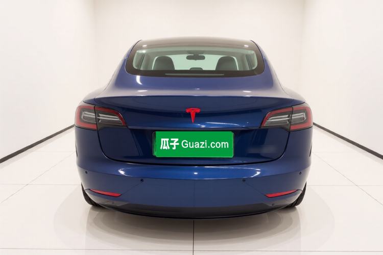 Used Tesla Model 3 2019 Long-Range All-Wheel-Drive Version Rear