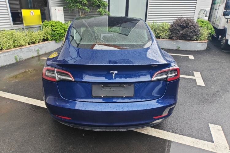 Used Tesla Model 3 2019 Long-Range Rear-Wheel-Drive Version Rear