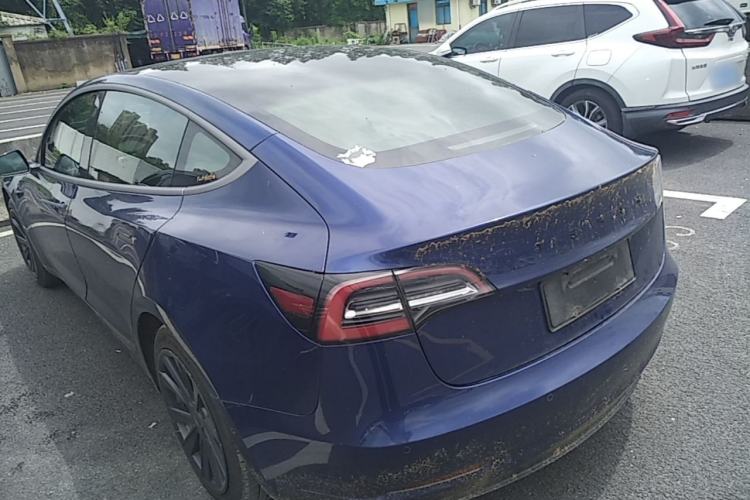 Used Tesla Model 3 2019 Standard Range Rear-Drive Upgraded Version Rear Left 45 Deg