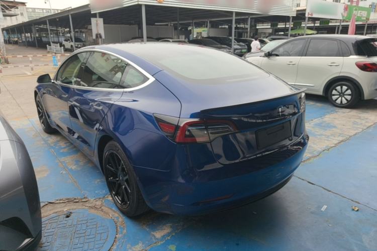 Used Tesla Model 3 2019 Long-Range All-Wheel-Drive Version Rear Left 45 Deg