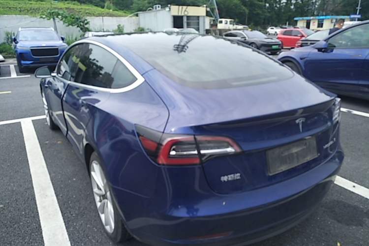 Used Tesla Model 3 2019 Standard Range Rear-Drive Upgraded Version Rear Left 45 Deg
