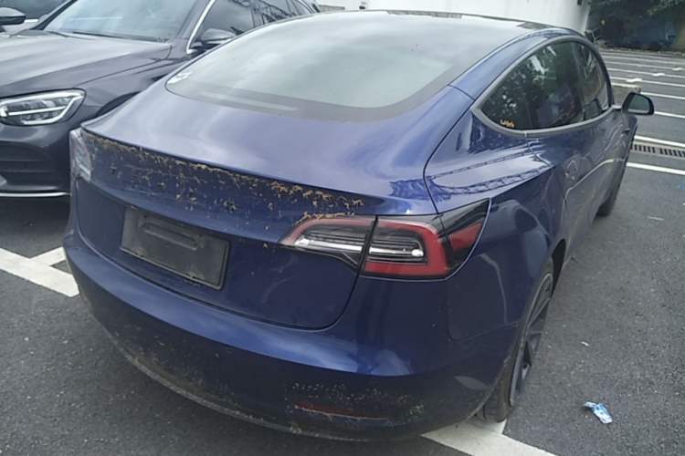 Used Tesla Model 3 2019 Standard Range Rear-Drive Upgraded Version Rear Right 45 Deg