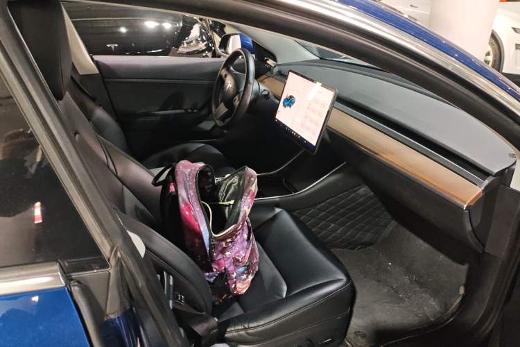 Used Tesla Model 3 2019 Standard Range Rear-Drive Upgraded Version
