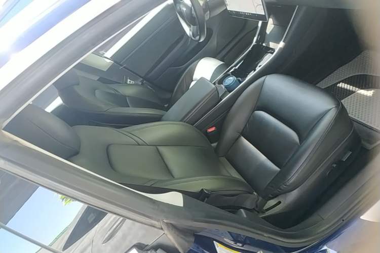 Used Tesla Model 3 2019 Standard Range Rear-Drive Upgraded Version Right Front Seat