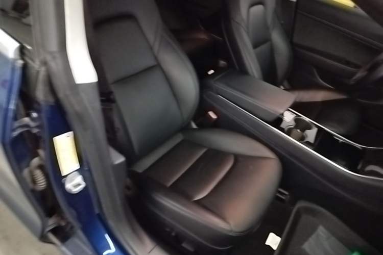 Used Tesla Model 3 2019 Standard Range Rear-Drive Upgraded Version Right Front Seat