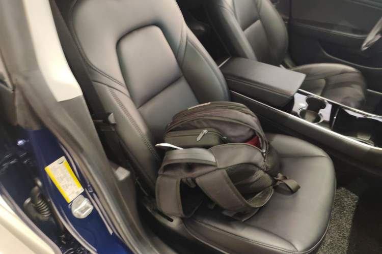 Used Tesla Model 3 2019 Standard Range Rear-Wheel Drive Upgraded Version (52 kWh) Right Front Seat