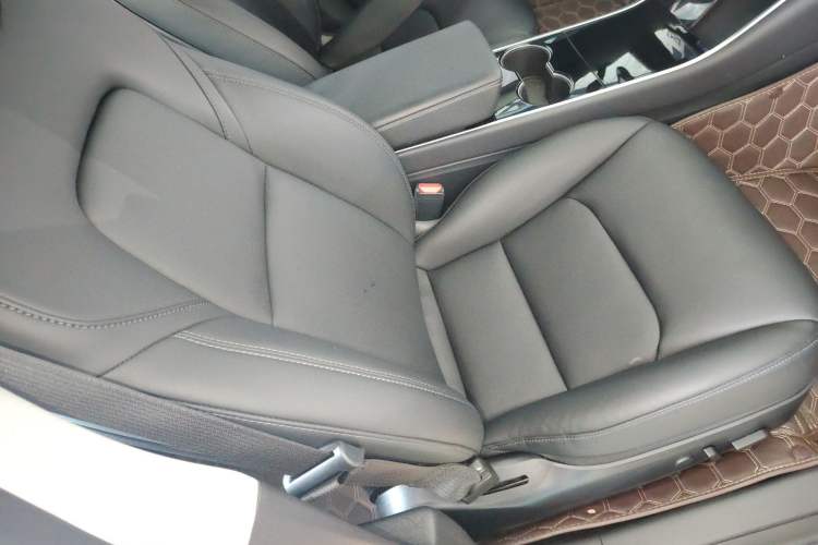 Used Tesla Model 3 2019 Long-Range All-Wheel-Drive Version Right Front Seat