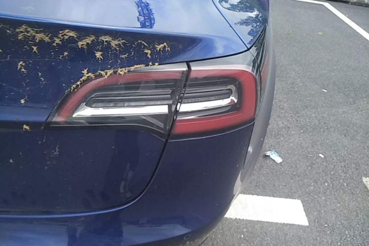 Used Tesla Model 3 2019 Standard Range Rear-Drive Upgraded Version Right Rear Taillight