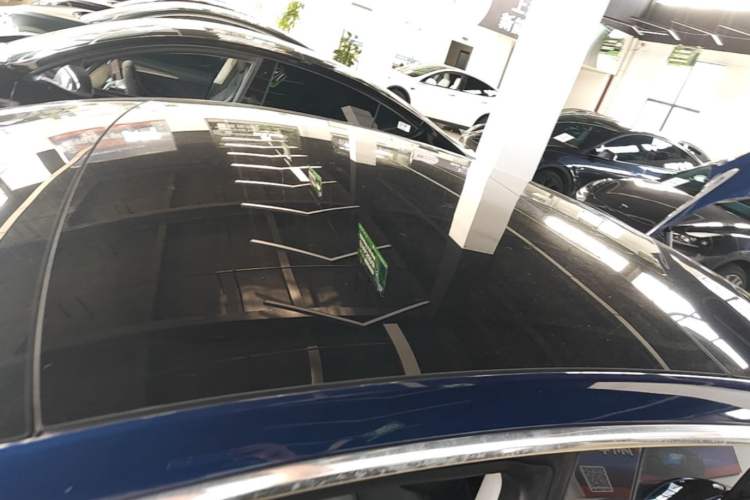 Used Tesla Model 3 2019 Long-Range Rear-Wheel-Drive Version Roof