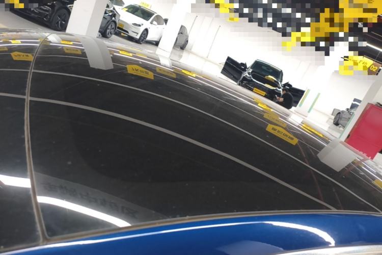 Used Tesla Model 3 2019 Long-Range Rear-Wheel-Drive Version Roof