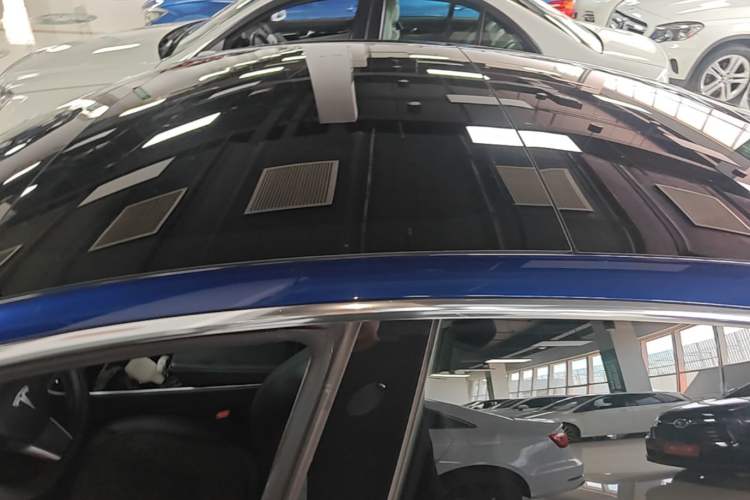 Used Tesla Model 3 2019 Standard Range Rear-Drive Upgraded Version Roof