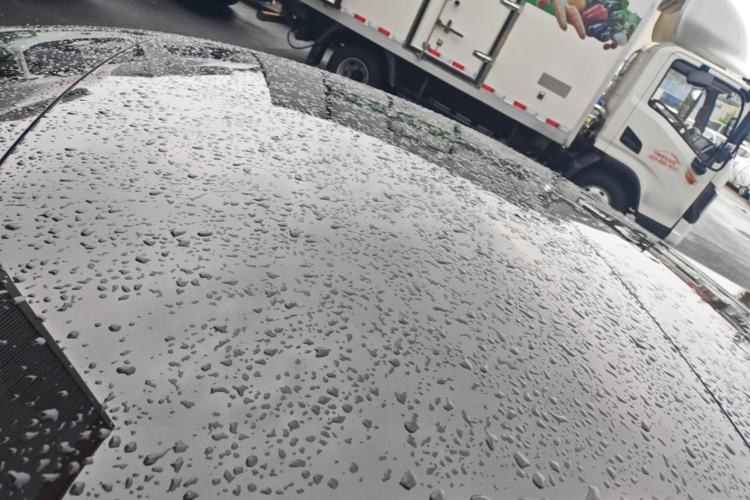 Used Tesla Model 3 2019 Long-Range Rear-Wheel-Drive Version Roof