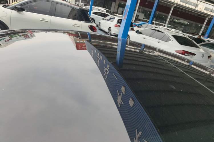 Used Tesla Model 3 2019 Long-Range All-Wheel-Drive Version Roof