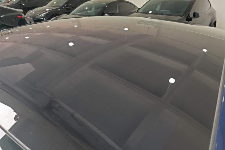 Used Tesla Model 3 2019 Long-Range All-Wheel-Drive Version Roof