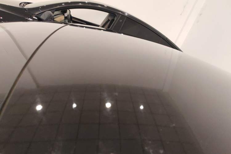 Used Tesla Model 3 2019 Standard Range Rear-Wheel Drive Upgraded Version (52 kWh) Roof