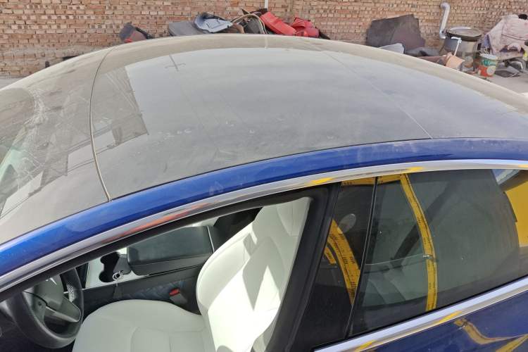 Used Tesla Model 3 2019 Long-Range All-Wheel-Drive Version Roof