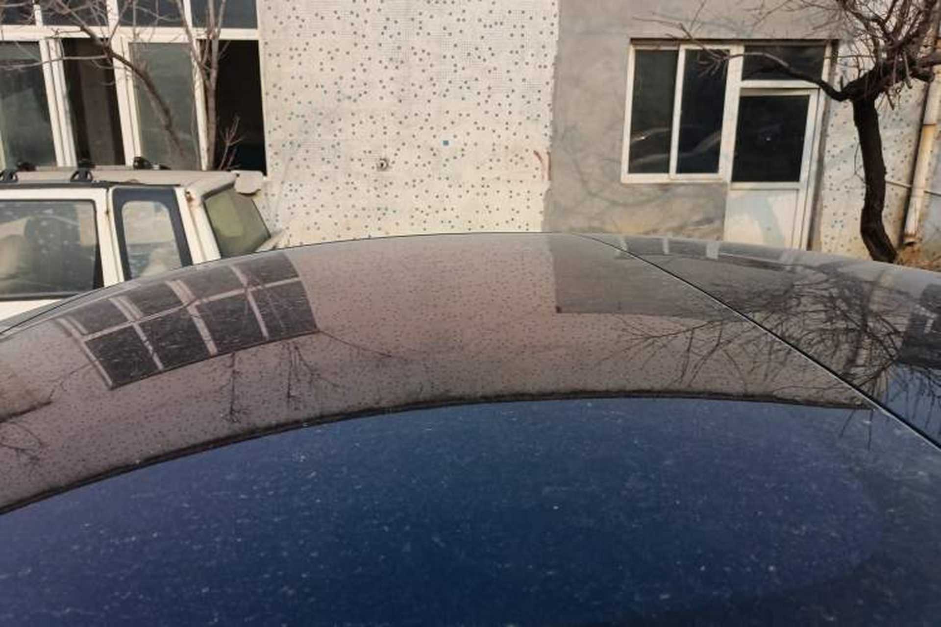 Used Tesla Model 3 2019 Long-Range Rear-Wheel-Drive Version Roof