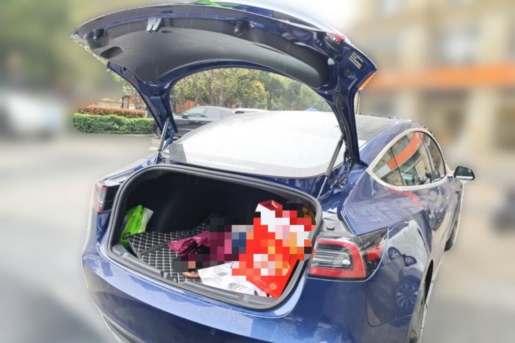 Used Tesla Model 3 2019 Standard Range Rear-Drive Upgraded Version Trunk