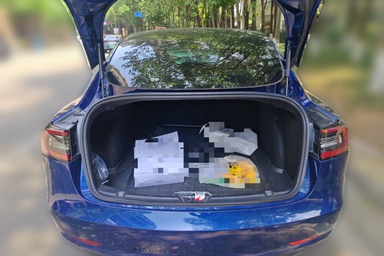 Used Tesla Model 3 2019 Standard Range Rear-Drive Upgraded Version Trunk