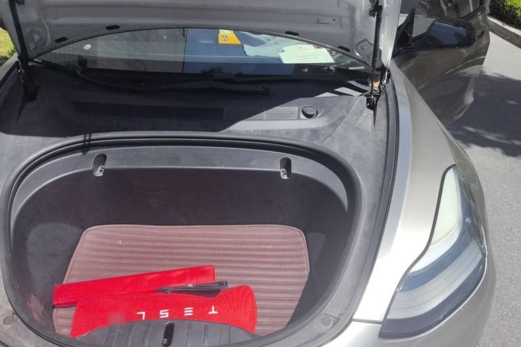 Used Tesla Model 3 2019 Standard Range Rear-Wheel Drive Upgraded Version (60 kWh) Engine Bay Left