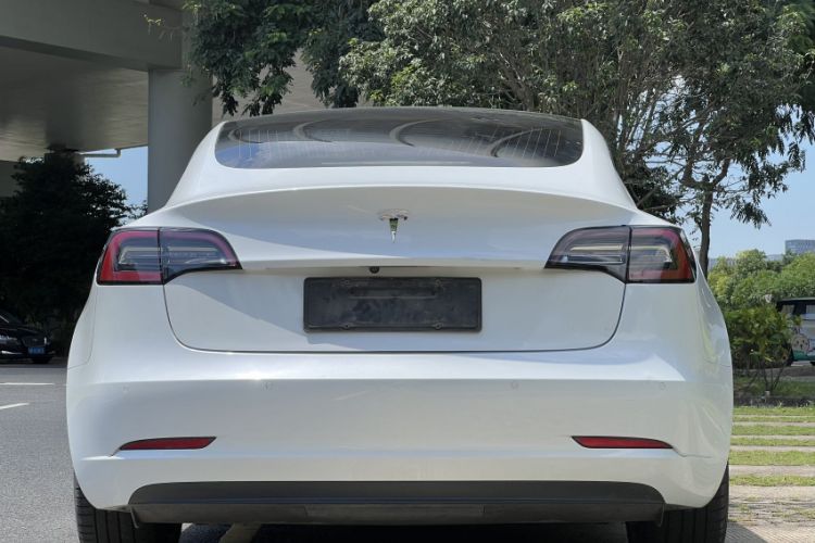 Used Tesla Model 3 2019 Standard Range Rear-Wheel Drive Upgraded Version (60 kWh) Exterior 1
