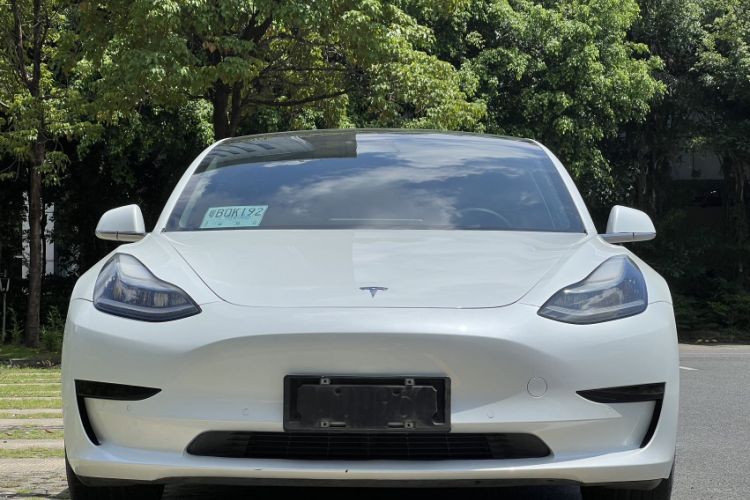 Used Tesla Model 3 2019 Standard Range Rear-Wheel Drive Upgraded Version (60 kWh) Exterior 2