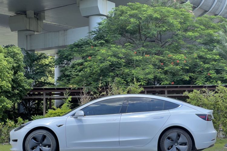 Used Tesla Model 3 2019 Standard Range Rear-Wheel Drive Upgraded Version (60 kWh) Exterior 3