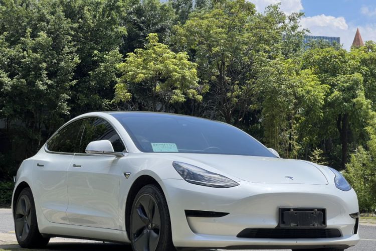 Used Tesla Model 3 2019 Standard Range Rear-Wheel Drive Upgraded Version (60 kWh) Exterior 6