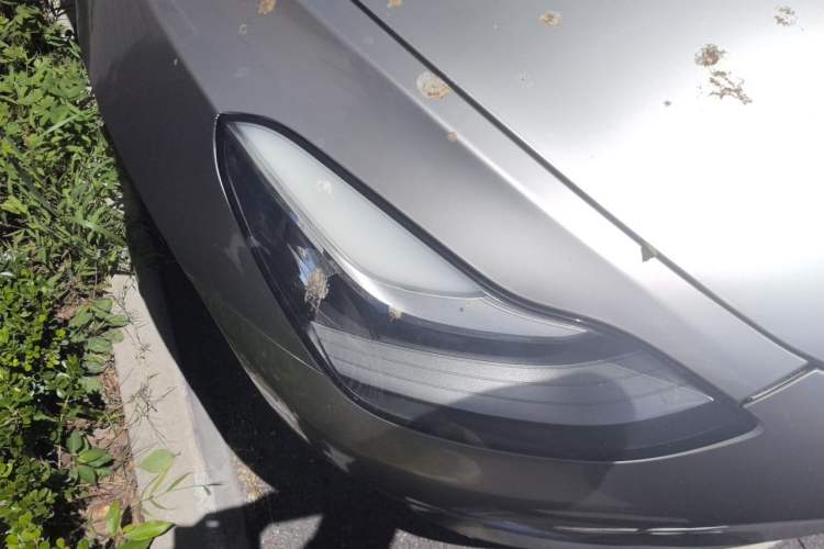 Used Tesla Model 3 2019 Standard Range Rear-Wheel Drive Upgraded Version (60 kWh) Right Front Headlight