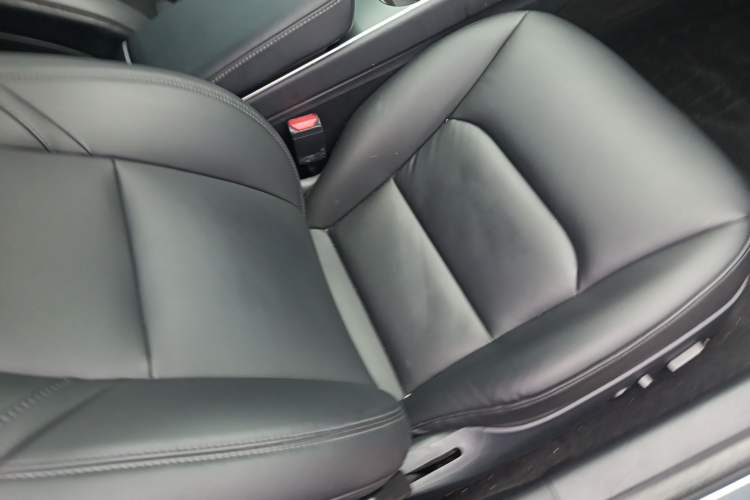 Used Tesla Model 3 2019 Standard Range Rear-Drive Upgraded Version Right Front Seat