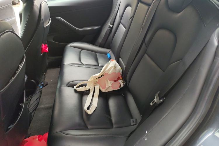 Used Tesla Model 3 2019 Long-Range Rear-Wheel-Drive Version Left Rear Seat